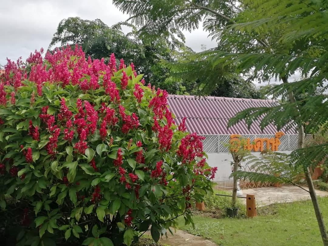 英达花园山度假村 碧差汶 外观 照片